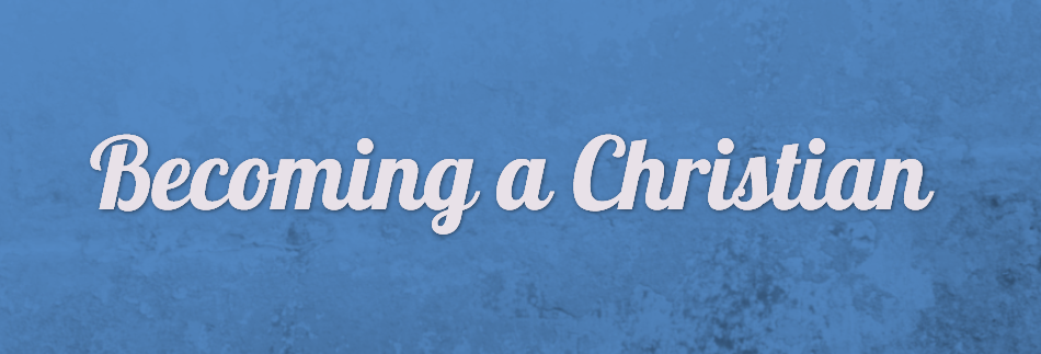 Sea Image Banner
